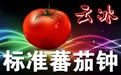 云冰标准蕃茄钟(64位)1.3.0 官方版