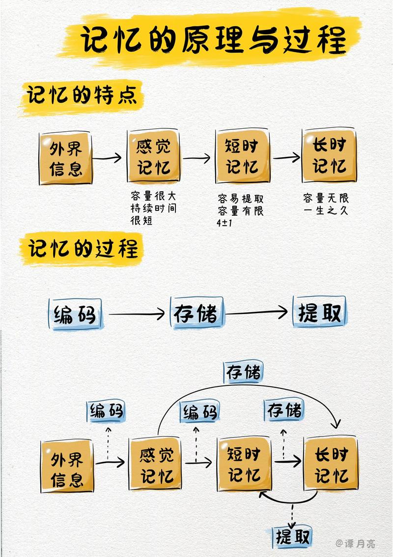 MEMORIA,探索记忆的力量与影响