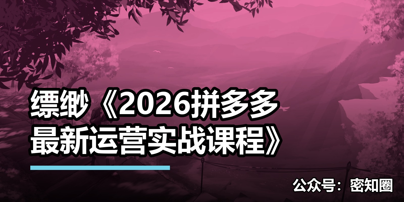 缥缈《2026拼多多最新运营实战课程》
