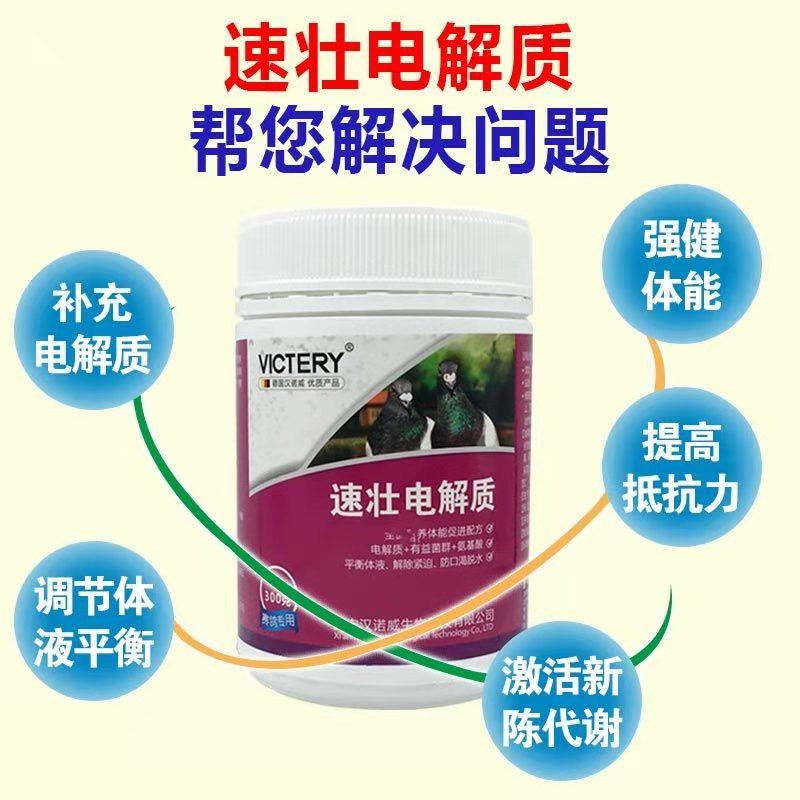 汉诺威鸽药速壮电解质粉剂：赛鸽信鸽的福音，鹦鹉鸟的营养宝典！