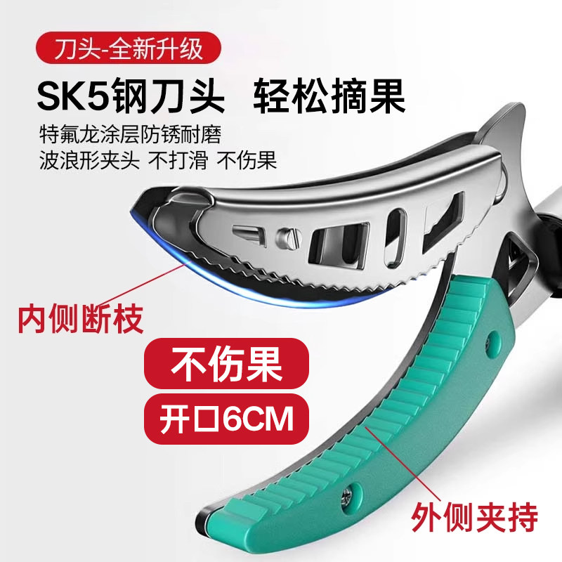 什么样的果枝剪最适合家庭园林？