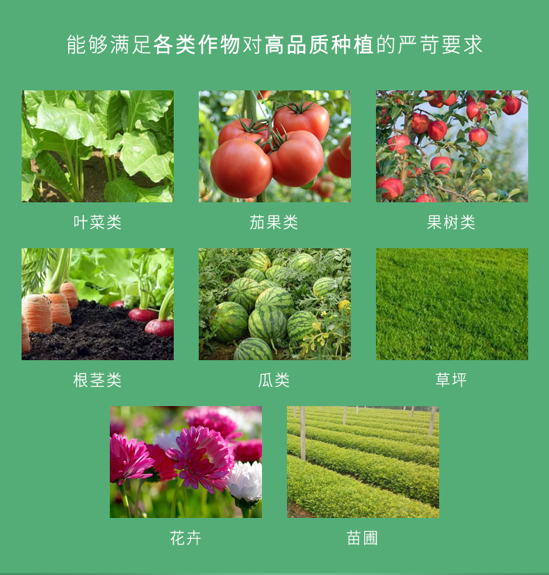 伽利略大量元素水溶肥：高钾高氮，助你种植出甜蜜硕大的果实！