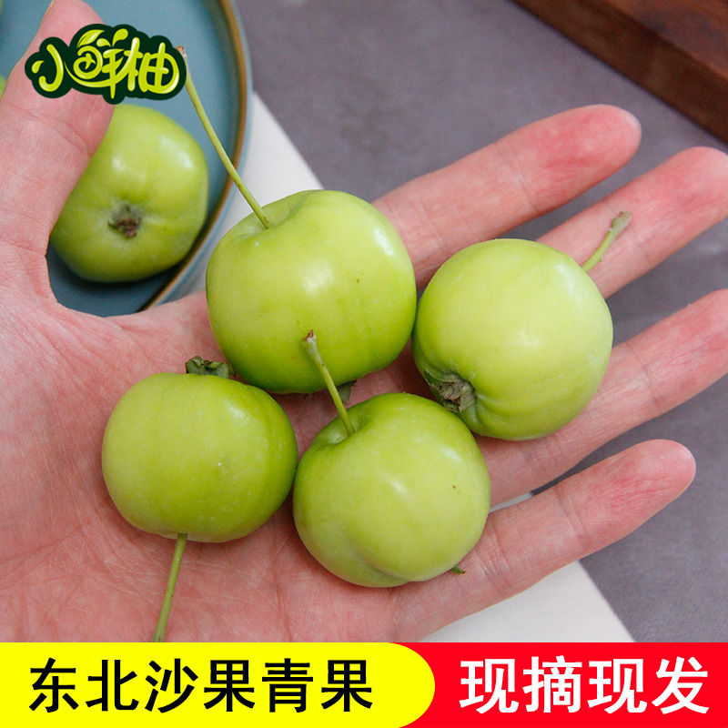 青沙果&amp;东北海棠果：当季鲜果，尝鲜必备！