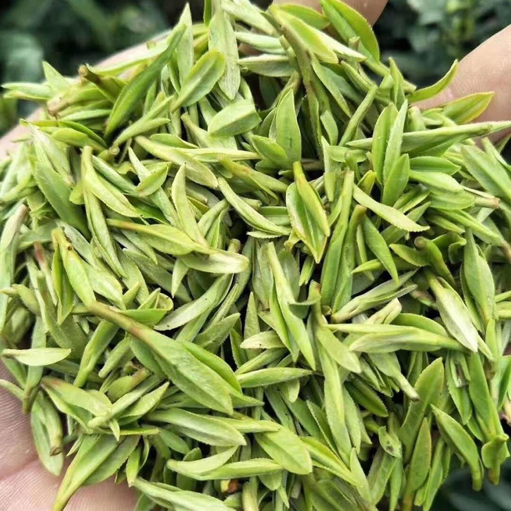西湖龙井核心产区大揭秘，带你走进茶香四溢的宝藏之地！