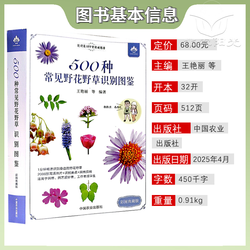 500种常见野花野草识别图鉴：户外探险必备神器✨