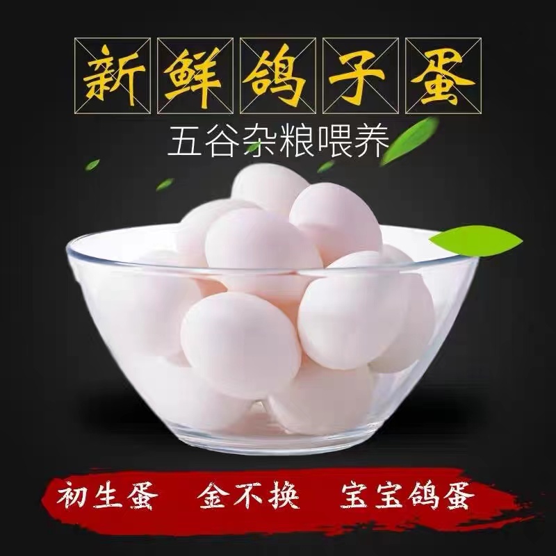 新鲜鸽蛋白鸽蛋，沂蒙山农家五谷杂粮喂养，鲜美营养新体验！
