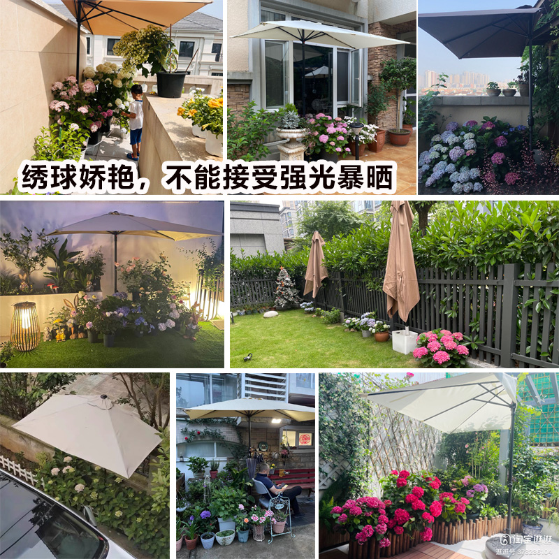 户外半边伞：靠墙侧边长方伞，庭院花园遮阳防雨新神器！