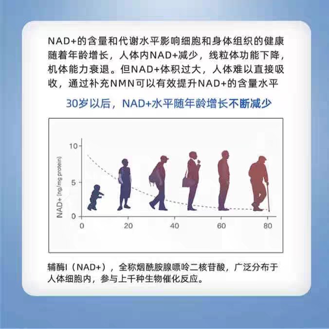 代灌NMN 4.0全酶法出口级原料，科研定制，60粒/100粒N12000/N18000，抗衰老的秘密武器？