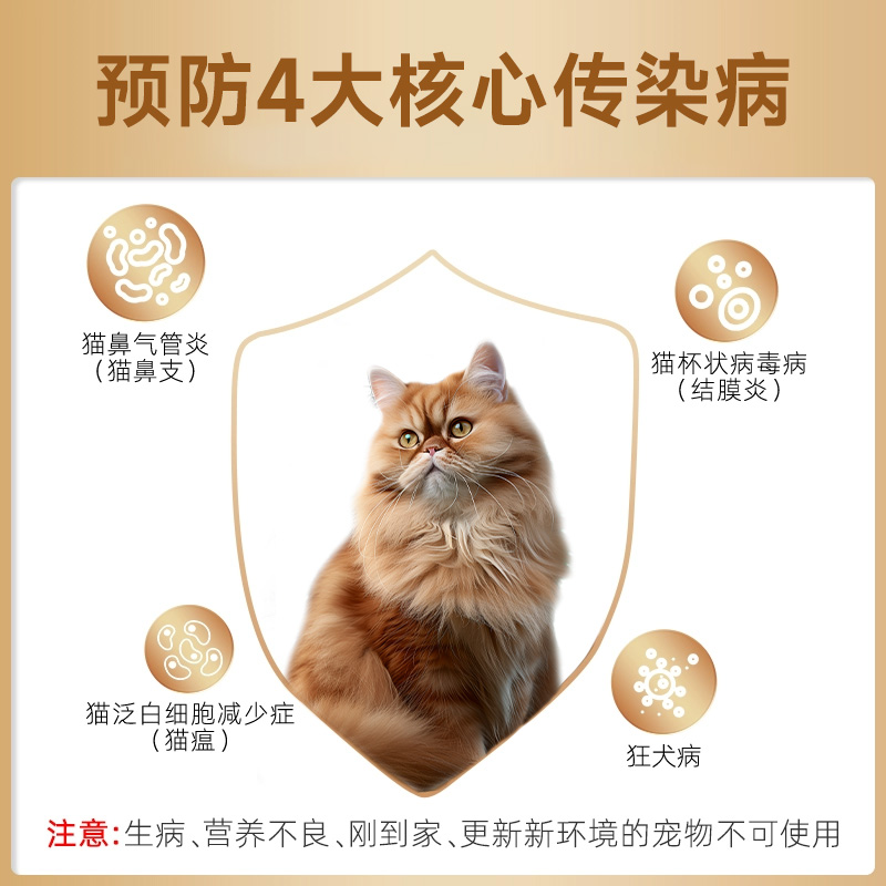 猫康宁猫三联疫苗妙三多同款：猫咪健康守护神，幼猫成猫都能用的疫苗大揭秘！
