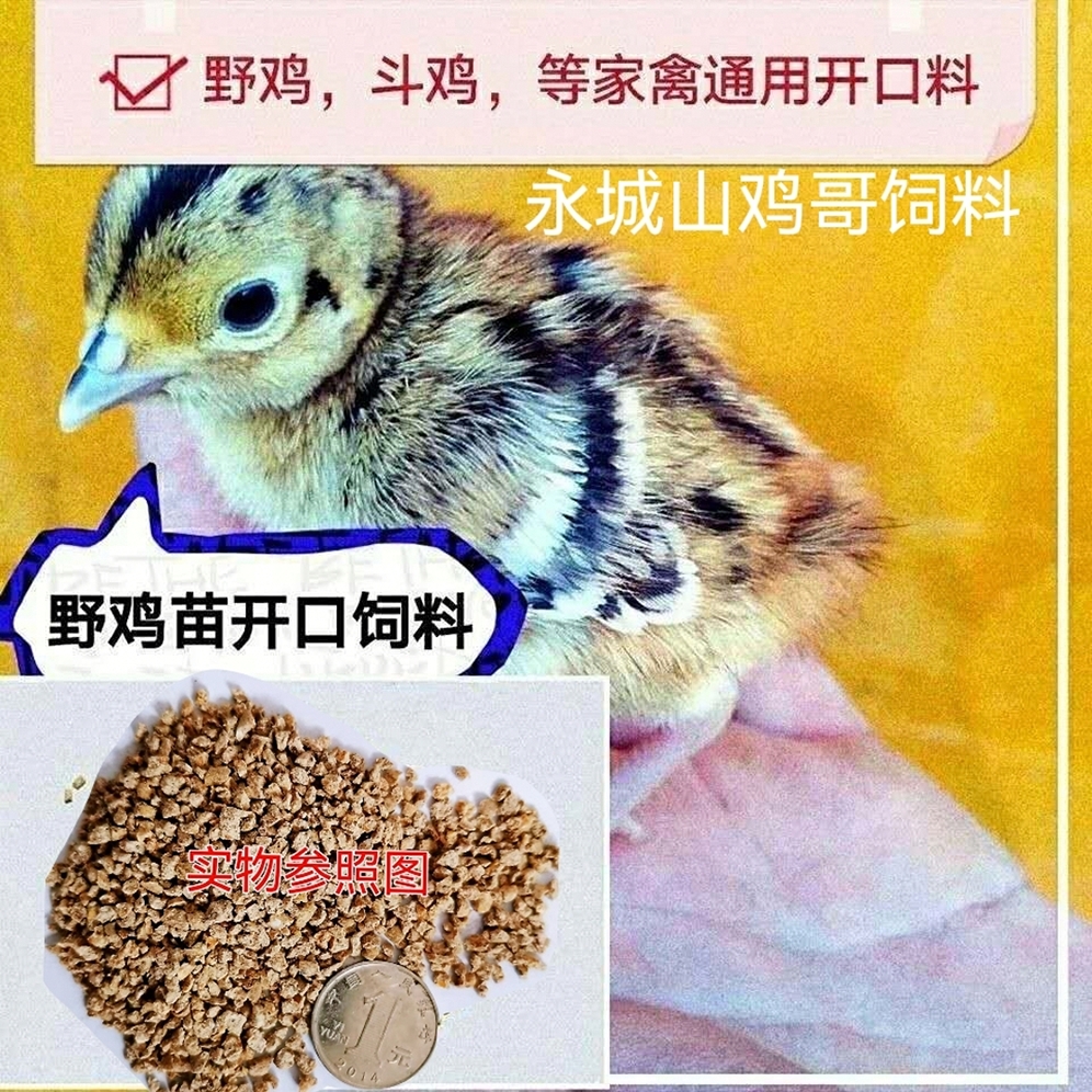 野山鸡饲料大揭秘：解锁野味的秘密武器！