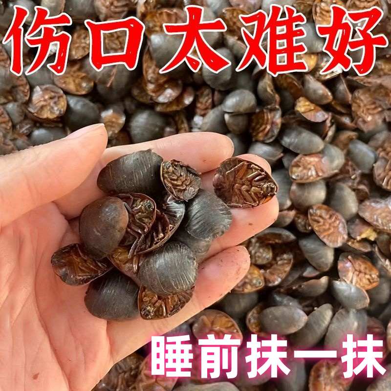 伤口久不愈合，老烂腿的真相：脉管炎、红肿痛、小腿黑紫、瘙痒、腐烂、溃烂、生肌全解析！