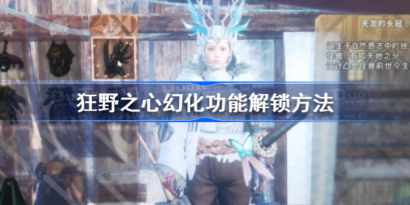 狂野之心幻化功能怎么解锁 狂野之心幻化功能解锁方法