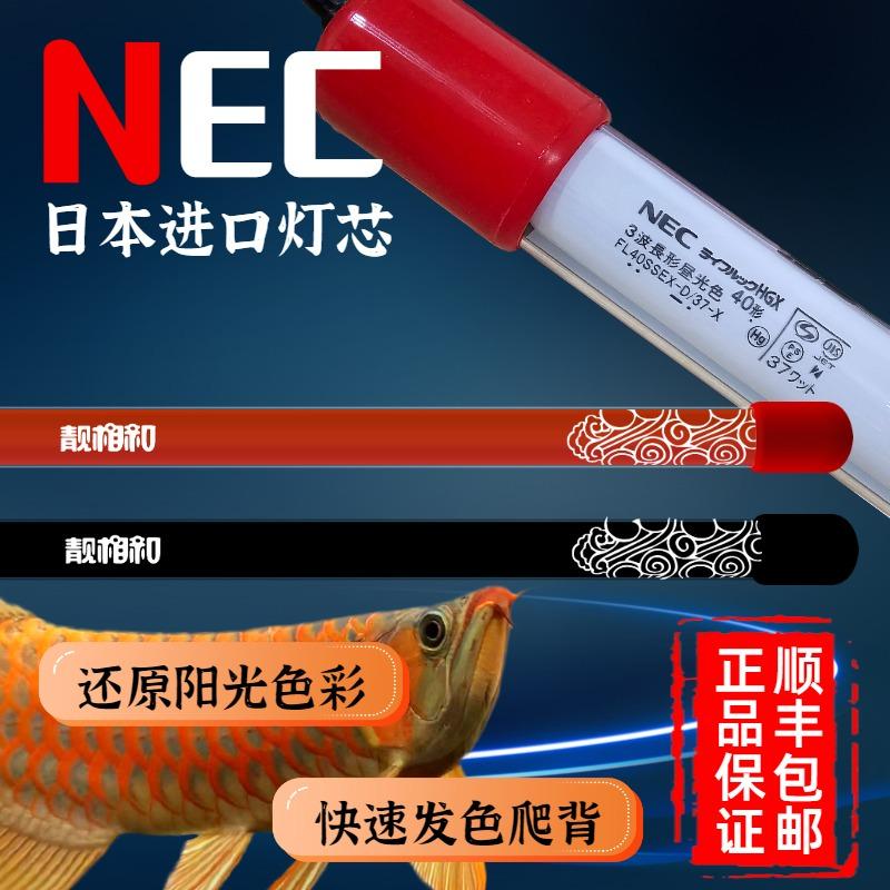 金红龙鱼必备神器！Nec潜水灯6700K增艳灯实测！养鱼党必入