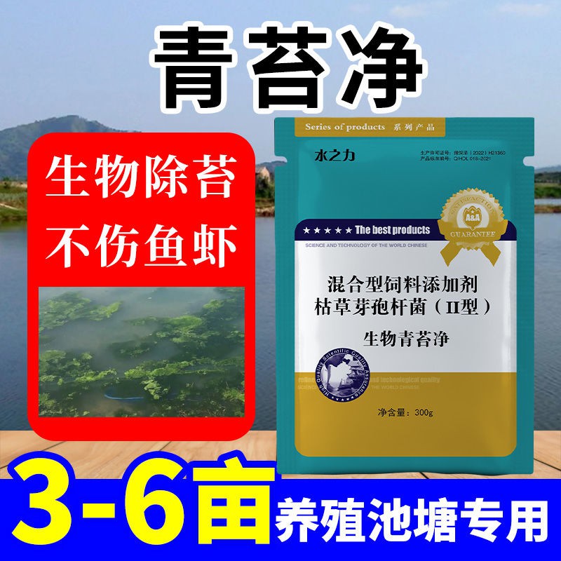 水安青苔净真的能搞定青苔？水产养殖必备神器！养鱼人必看