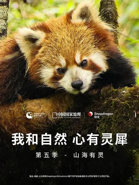 我和自然 心有灵犀第五季
