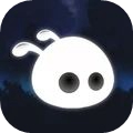 迷失在森林