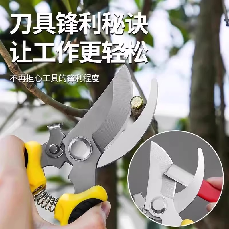 环盛钓鱼剪刀：304不锈钢多功能垂钓神器，轻松捕获你的垂钓乐趣