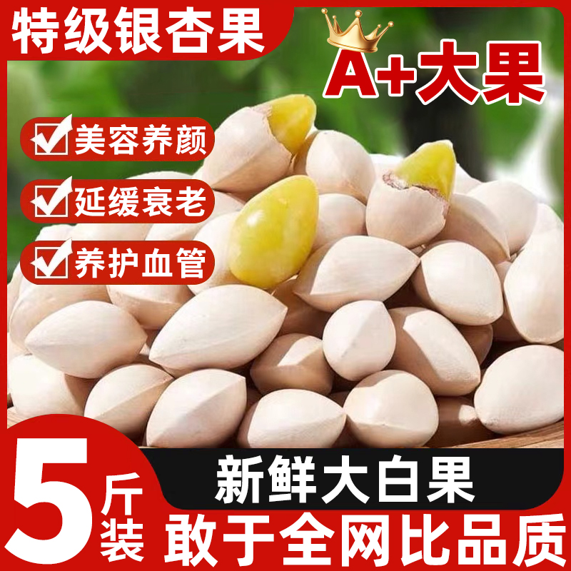 泰兴银杏果干货：解锁500g新鲜无硫熏白果仁的养生秘密！