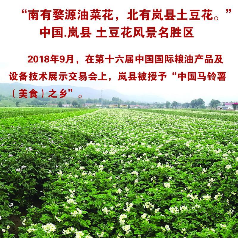 山西岚县土豆：土生土长的黄金滋味，10斤包邮整箱，尝鲜不等待！