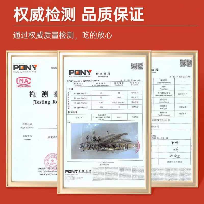 【过节送礼】大草冬虫夏草，给长辈最好的健康祝福！滋补养生新选择！