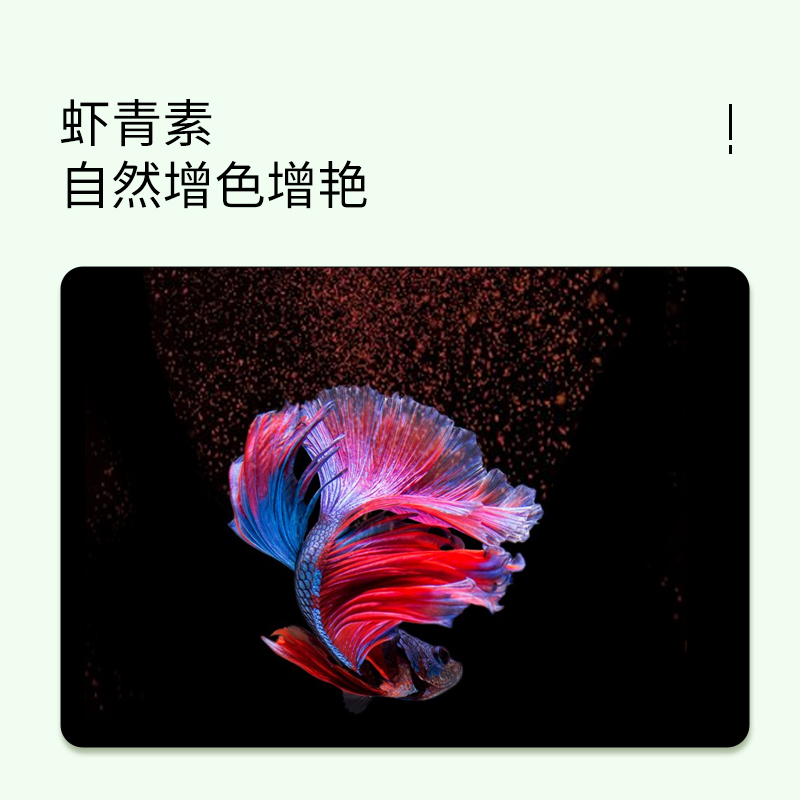在哪里可以查看斗鱼直播的数据？如何获取详细分析？