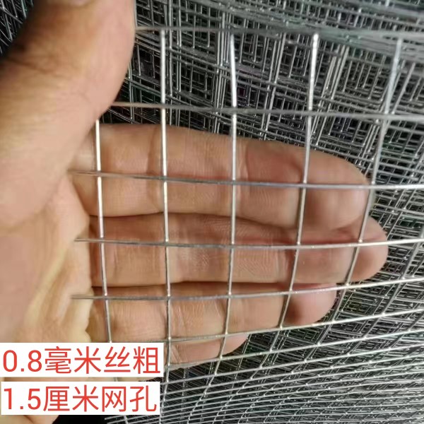 养鸽子养狗必备！镀锌铁丝网围栏到底有多香？这波不买亏大了