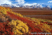 Alaskan Sketches Free Screensaver2.0