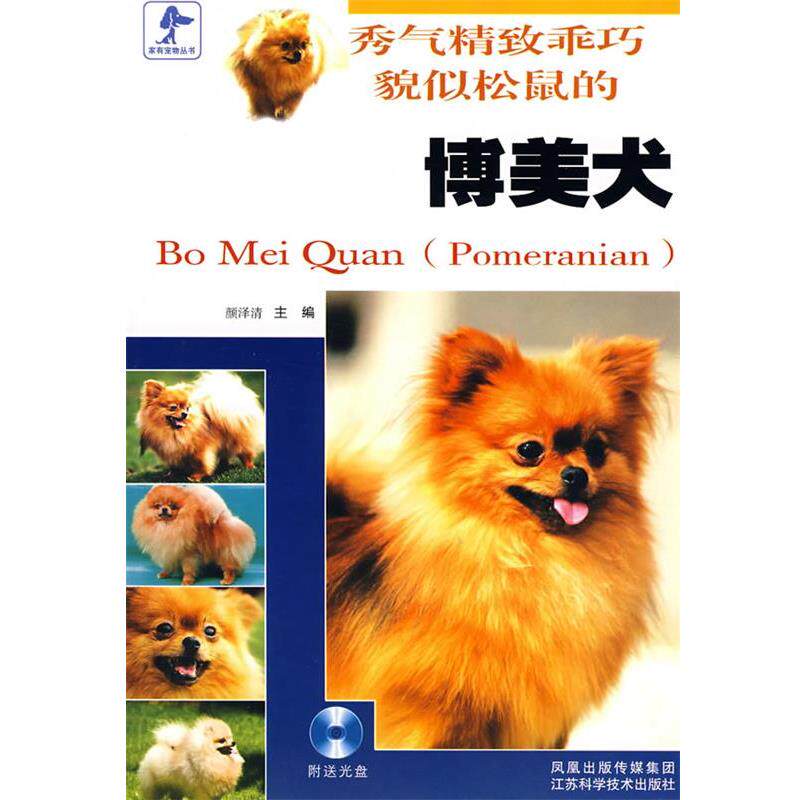 博美犬潮流风和复古风，哪款更适合我?