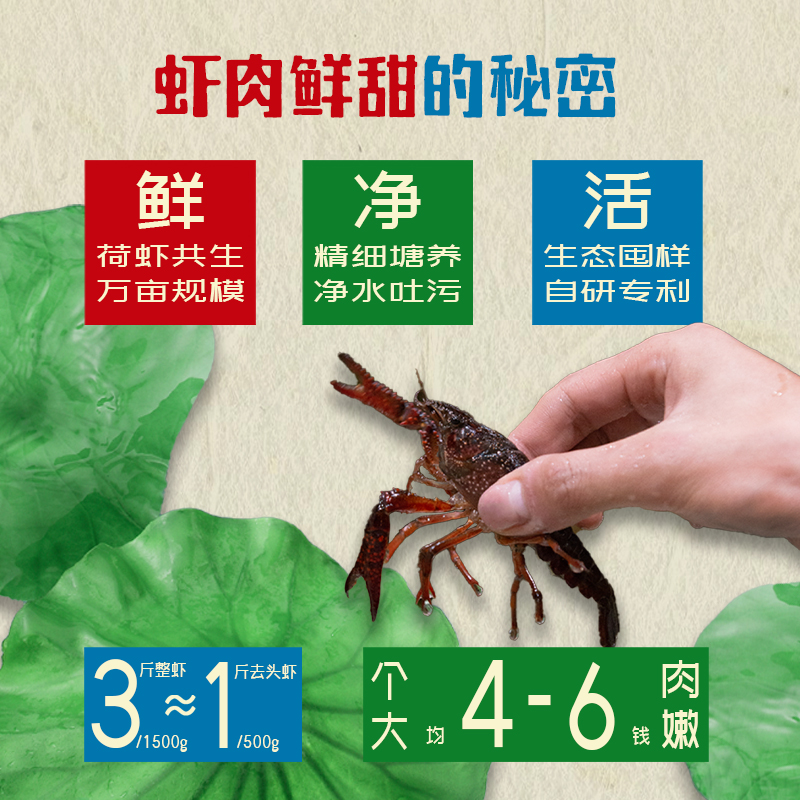 冷帮主麻辣小龙虾尾：开袋即食的美味革命，零食界的麻辣新宠！
