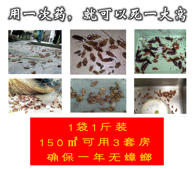 绿安居实体店1.5L压缩式大喷壶：轻松搞定白蚁防治，家居安全无忧！
