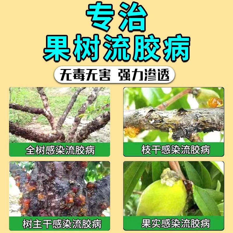 桃树流胶病救星！流胶一喷净真有这么神？果树杀菌神器实测分享