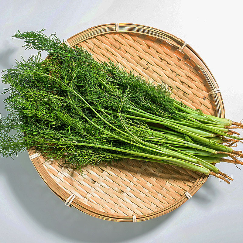 小茴香菜新鲜包邮：解锁饺子馅料新境界，让你的餐桌香气四溢！