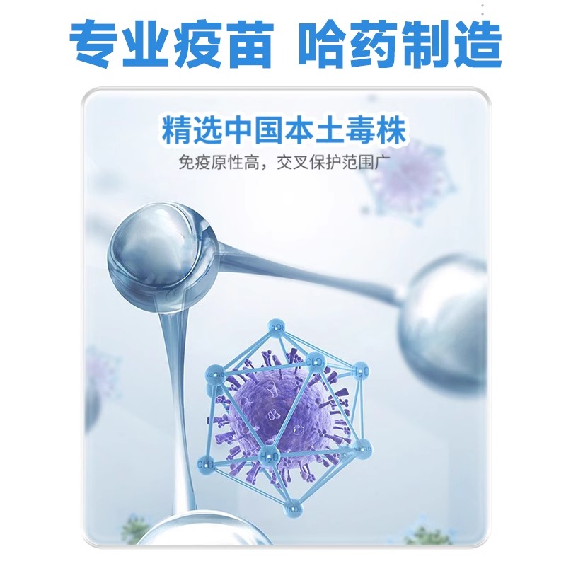妙三多平替科妙优国产猫三联疫苗：国产疫苗也能守护爱宠健康？