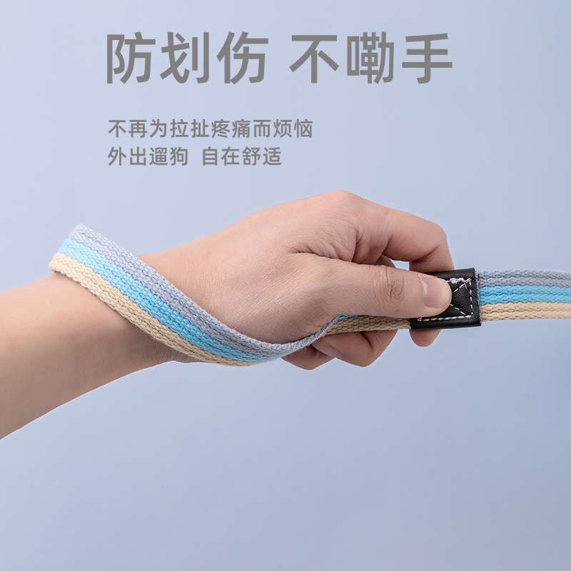 拉布拉多价格是多少？影响价格的因素有哪些？