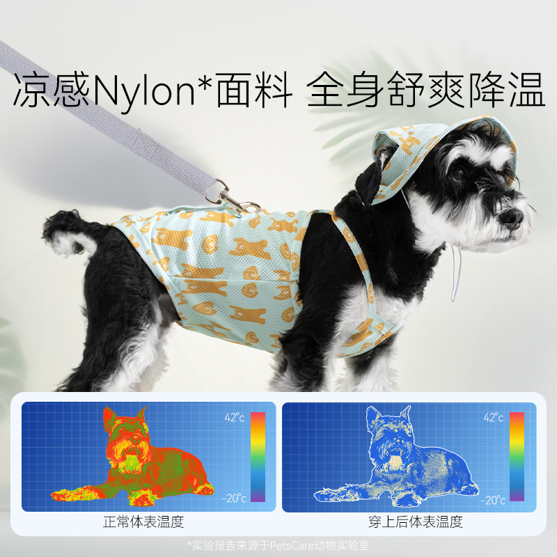 专业帮找小猫宠物找小狗团队：宠物走失不再是难题，找回希望就在眼前！