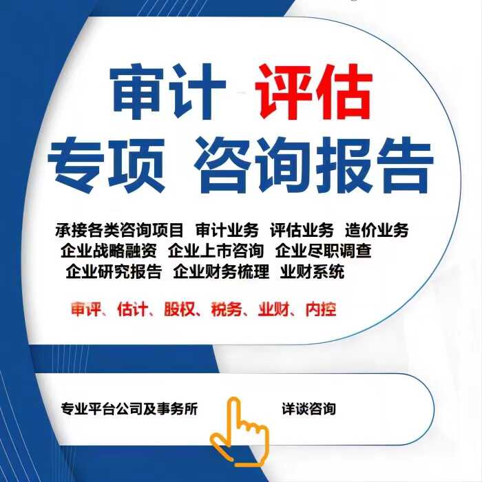 评估验资审计投标固定无形资产专项财务报表年检年审离任清算报告：企业财务健康的全面体检