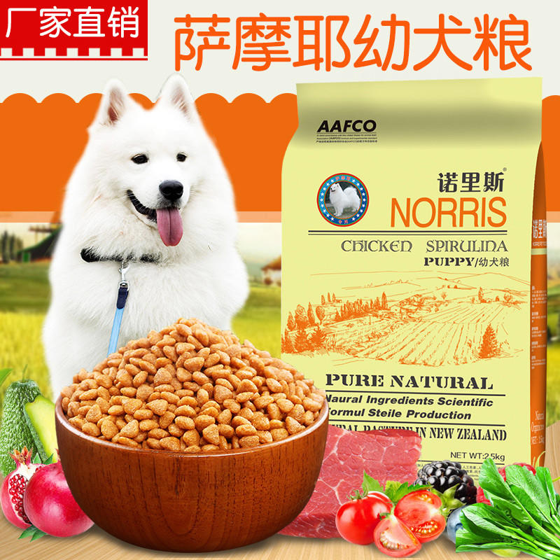 淘宝拍摄费用揭秘：新手卖家必看的摄影成本攻略！