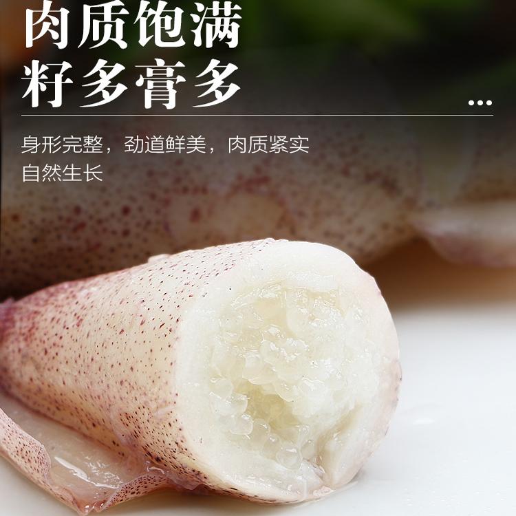 海兔带籽真的绝了！八爪鱼籽满籽笔管鱼鲜活到爆，海鲜控狂喜！