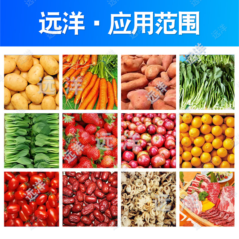 果蔬清洗风干流水线：中央厨房预制菜加工的秘密武器，青菜清洗风干设备如何革新餐饮业？