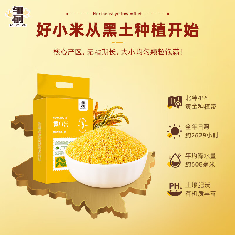 小米粥最忌放什么？宝藏养生知识，建议收藏！