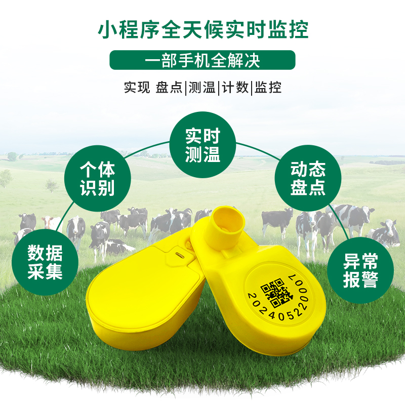 RFID牛羊蓝牙电子耳标：智慧牧场归栏定位新革命，盘点测温一“标”搞定！