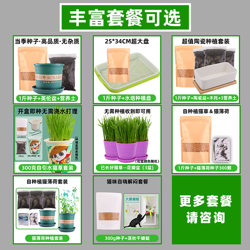 网红熊猫薄荷球玩具：猫咪的旋转舔舔乐，木天蓼猫草零食，宠物用品新宠儿！