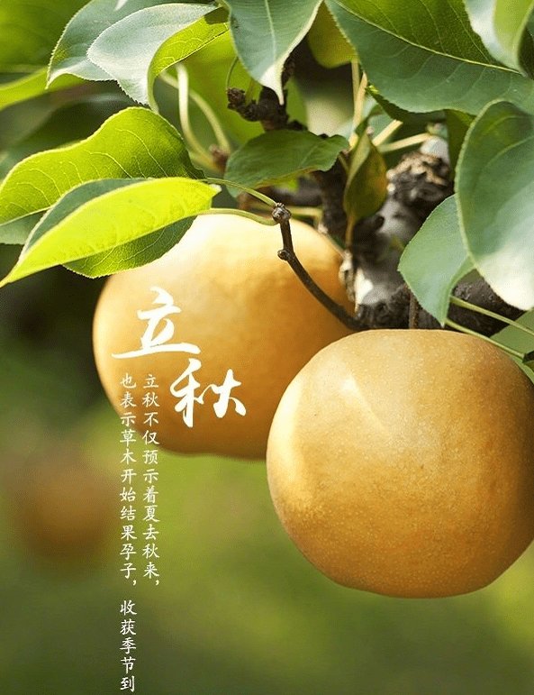 立秋节气应该吃什么食物？