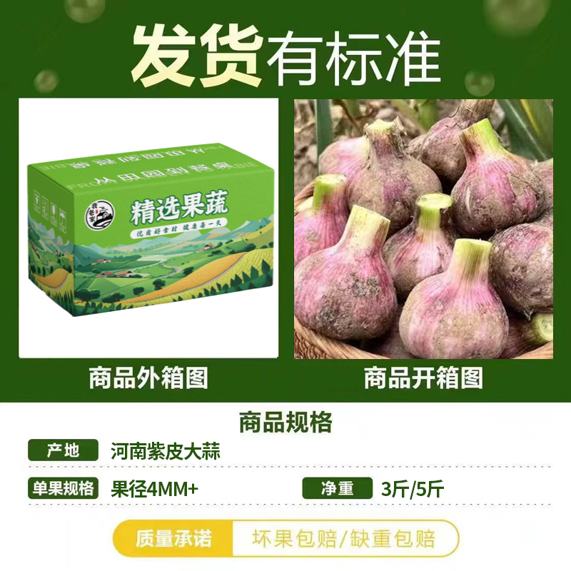 河南大蒜5斤新蒜！紫皮独头蒜太香了！这波不买真的亏大了