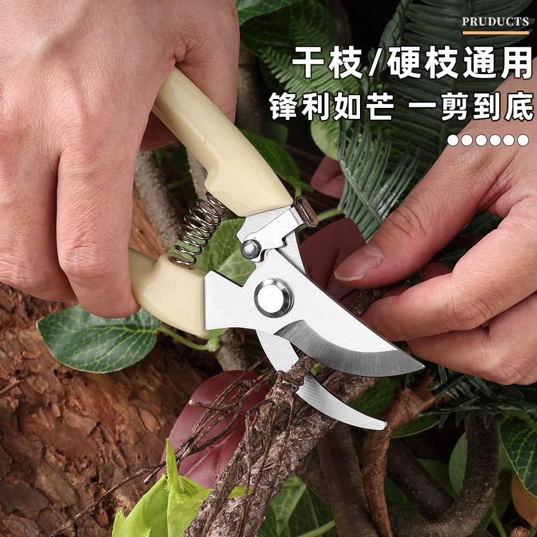 园艺剪修枝剪花剪园林剪花艺剪剪树枝果树剪刀枝剪修剪花卉剪子：打造完美花园的秘密武器！