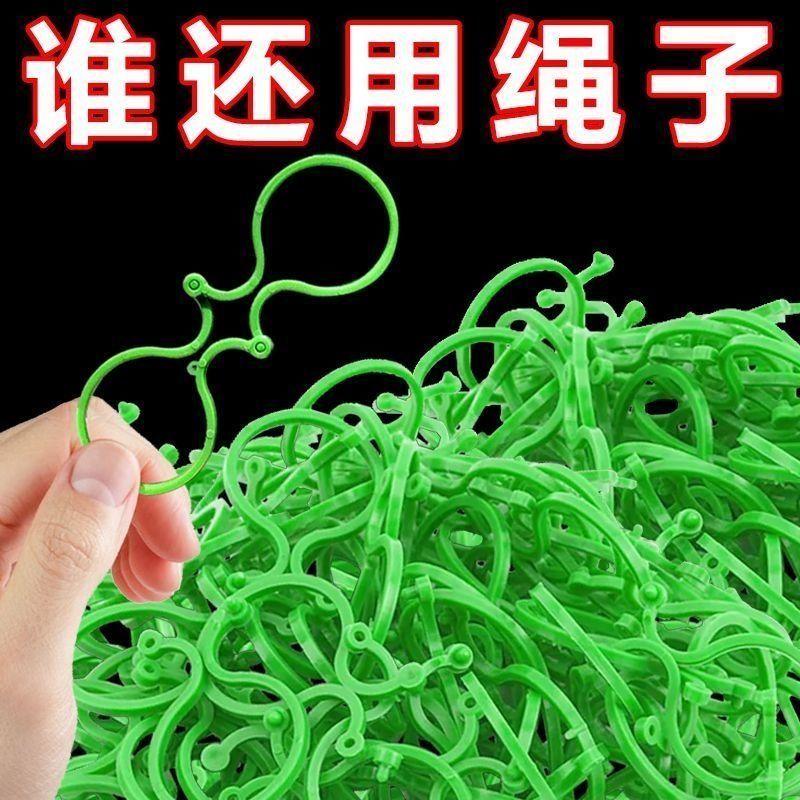 新款农用番茄西红柿绑枝机：菜园里的神器，解放双手的秘密武器！