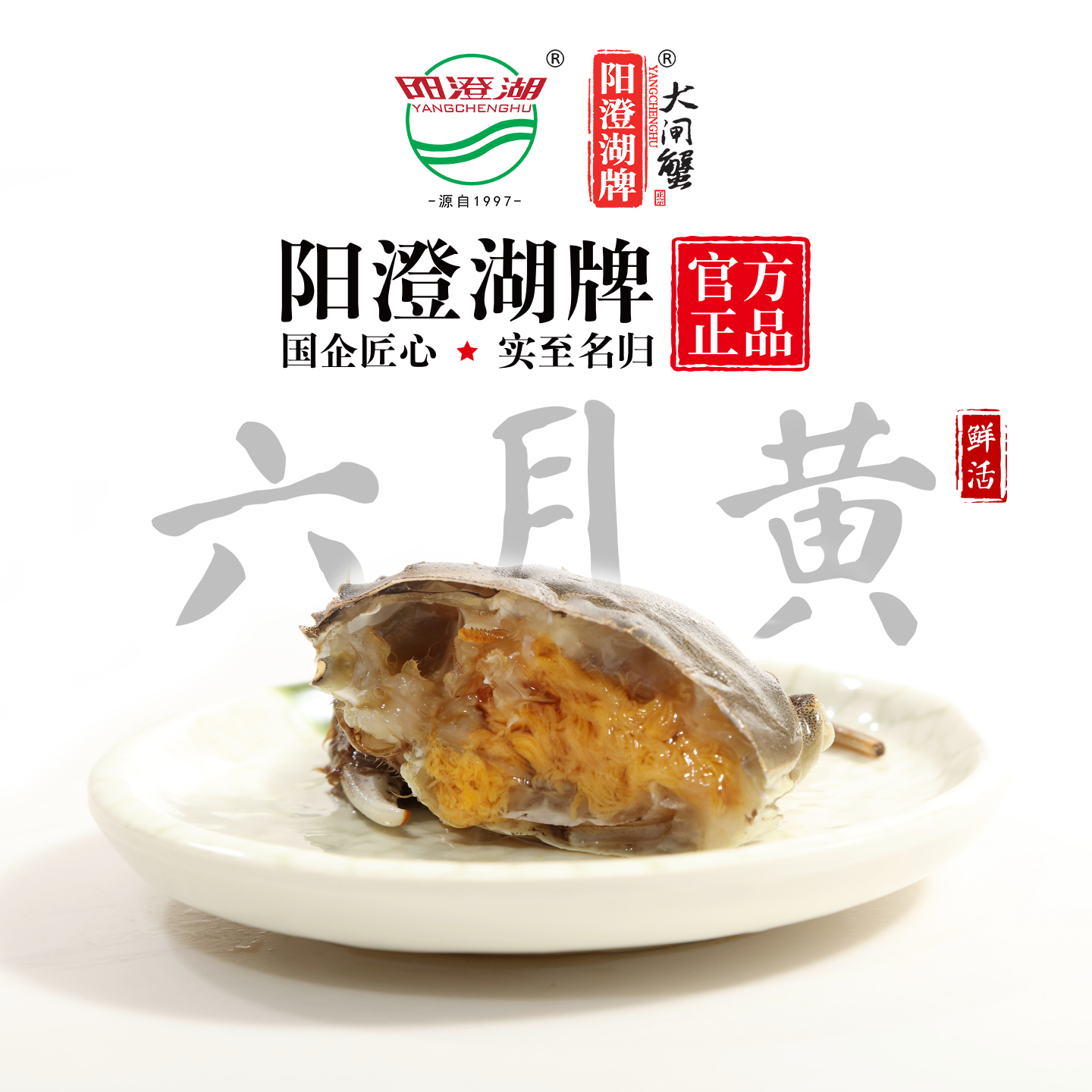 六月黄大闸蟹：阳澄湖鲜美盛宴，开启舌尖上的奢华之旅✨