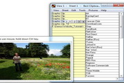 Best Clipboard2.19.03