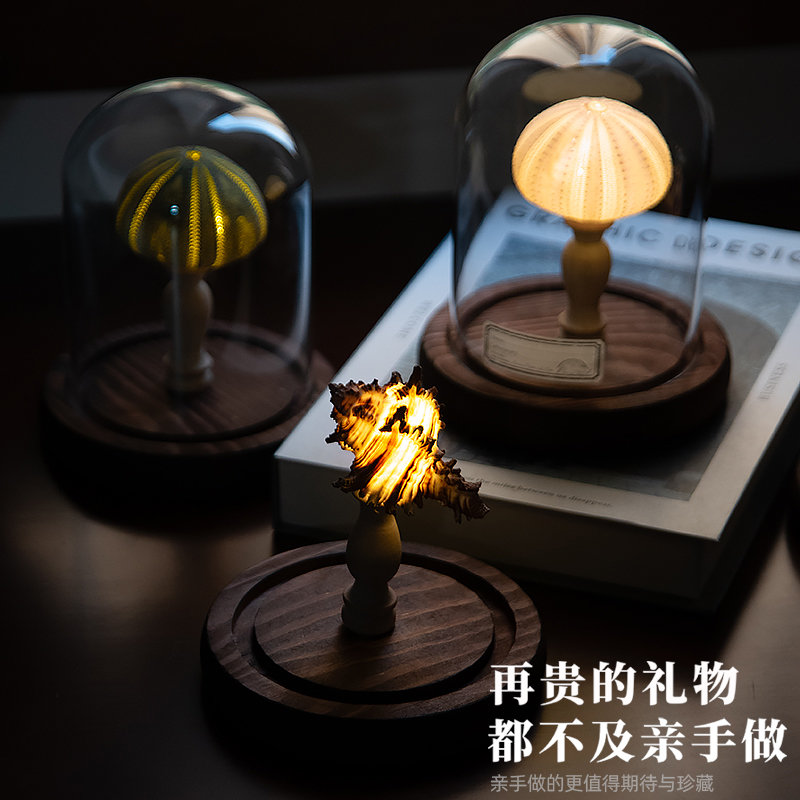 生野造物有胆亮夜灯海胆灯标本：点亮夜的创意摆件，男生生日礼物新选择！