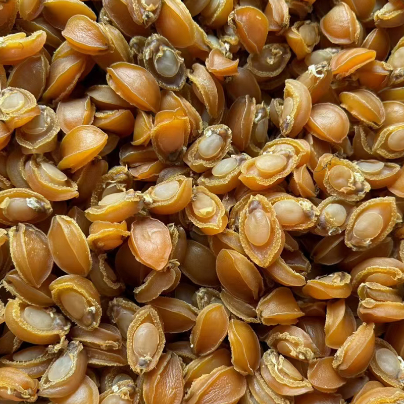 鲍鱼鲜活新鲜超大海鲜：特大加热即食干小鲍鱼，让你在家也能享受海鲜盛宴！
